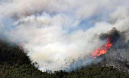 Por descuido humano ocurren primeros incendios forestales de la temporada