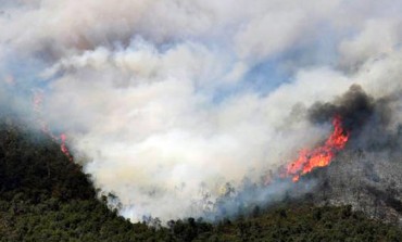 Por descuido humano ocurren primeros incendios forestales de la temporada