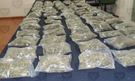 Decomisa SSC droga en Tejupilco y Atlacomulco