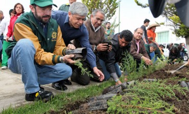 Universitarios sembrarán 52 mil árboles en todo el Estado de México