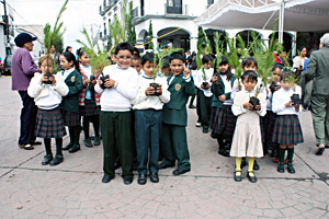 ixtlaverde3