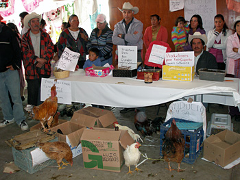 Con gran éxito se llevó a cabo la Primera Expo Feria de Productores PESA, en Villa Victoria