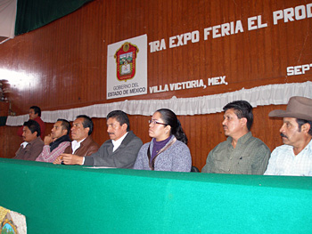 villapesa3