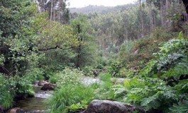 La naturaleza ya no puede ser ignorada por las organizaciones turísticas