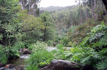 La naturaleza ya no puede ser ignorada por las organizaciones turísticas