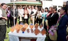 Mexicaltzingo, sede de la reunión de presidentas de DIF Región 3