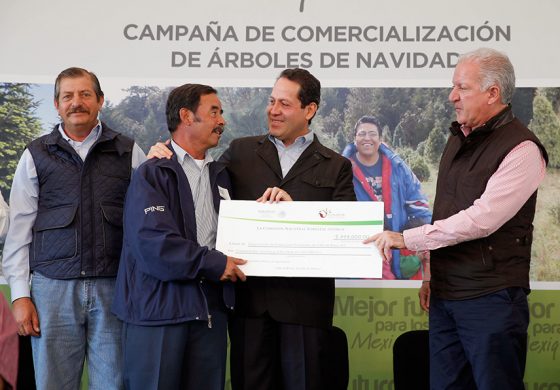 Inicia Eruviel Ávila campaña de comercialización de árboles de navidad, en Valle de Bravo