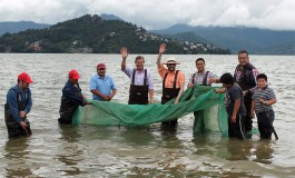 Un millón de carpas más a la presa Miguel Alemán