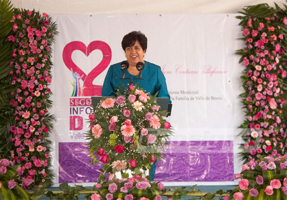 DIF Valle de Bravo, una Institución de Vanguardia: Artemiza Contreras