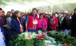 Benefician a sanfelipenses con Jornada Multidisciplinaria
