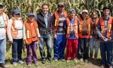Habitantes de Calimaya se benefician con el Programa Empleo Temporal