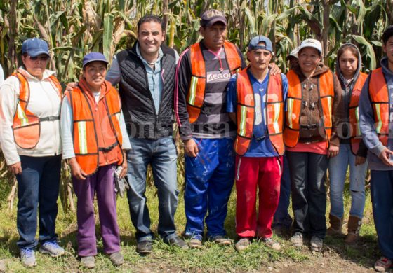 Habitantes de Calimaya se benefician con el Programa Empleo Temporal