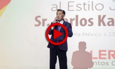 El Bosque y el Gorrioncito - Carlos Kasuga