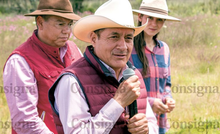 Mario Santana intensifica el trabajo en Villa Victoria