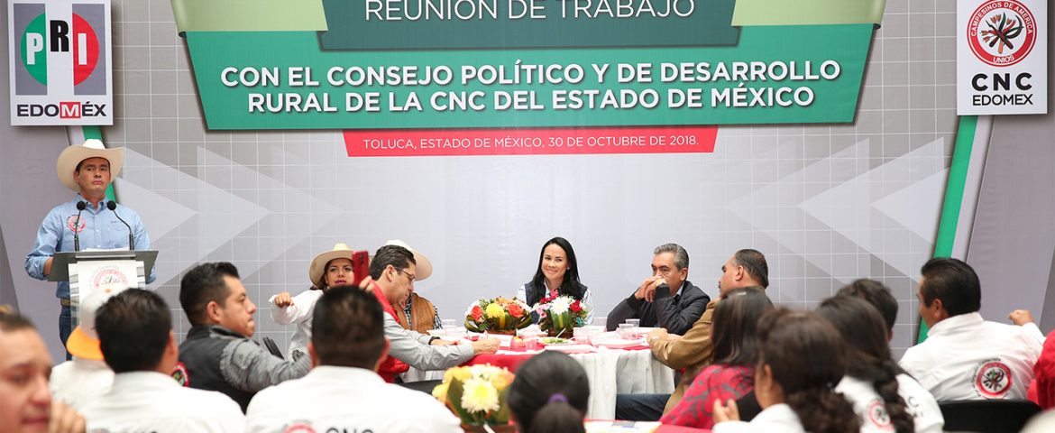 Ganará PRI Tonanitla: Alejandra Del Moral