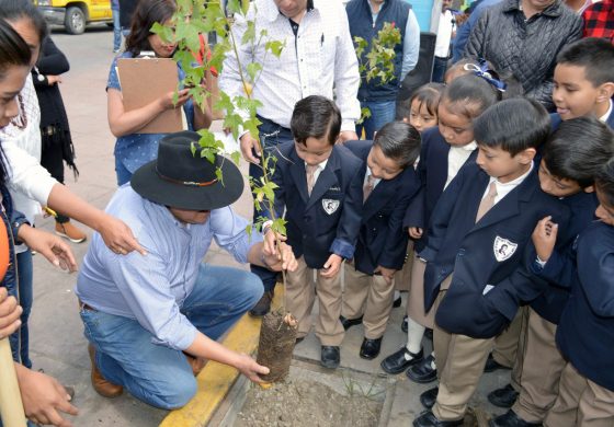 Impulsa Oscar Hernández Meza acciones en favor del medio ambiente