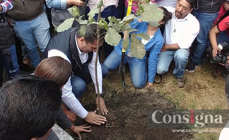 Inicia el programa de reforestación más ambicioso en la historia de Toluca