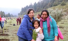 Temoaya: Meta cumplida; 5 mil árboles plantados en la Primera Jornada de Reforestación 2019
