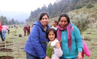 Temoaya: Meta cumplida; 5 mil árboles plantados en la Primera Jornada de Reforestación 2019