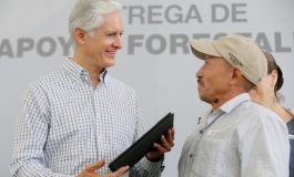  Entrega del Mazo apoyos forestales en el sur de la entidad