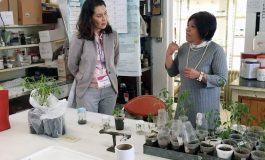 En materia de calidad del aire, busca Toluca colaboración con el ININ
