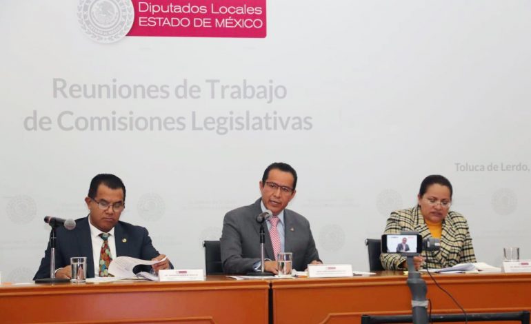 Tiene Edoméx potencial económico en cinco sectores productivos: maíz, aguacate, agave, café y flores