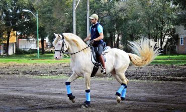 Superó expectativas Festival Internacional del Caballo Lusitano 2019