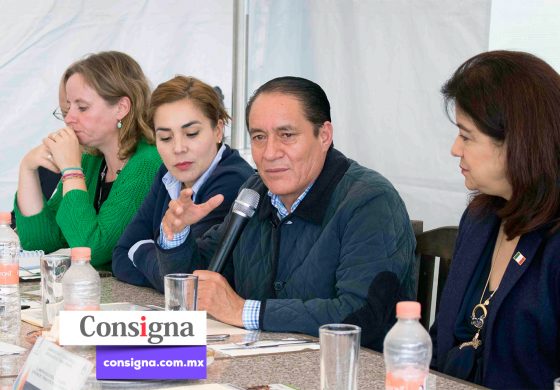 Villa Victoria, municipio modelo para prevenir y erradicar el trabajo infantil