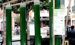 Instalan en Toluca el primer fotobiorreactor de microalgas para reducir contaminantes
