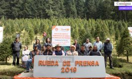 Inicia la venta de árboles navideños en Xonacatlán