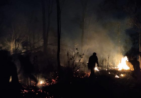 Sofocan Bomberos de Toluca incendio en La Teresona
