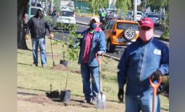 Celebra Metepec el Día Mundial del Medio Ambiente plantando árboles