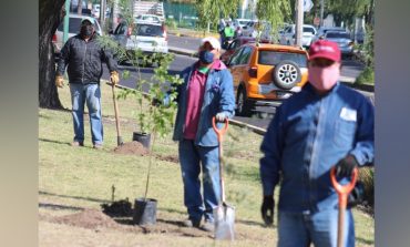 Alista Metepec plantar más de 15 mil árboles en los próximos meses