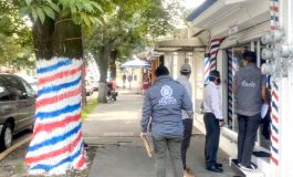 Instaura Toluca procedimiento administrativo por daño al arbolado