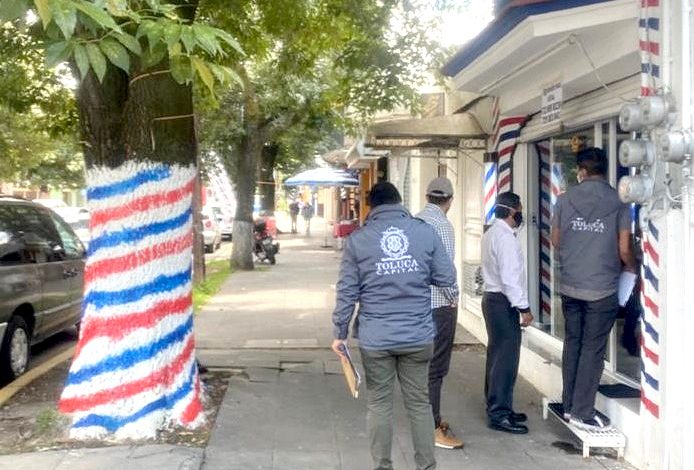 Instaura Toluca procedimiento administrativo por daño al arbolado