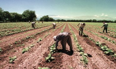 Agricultura, base para el desarrollo de la ciencia y la tecnología