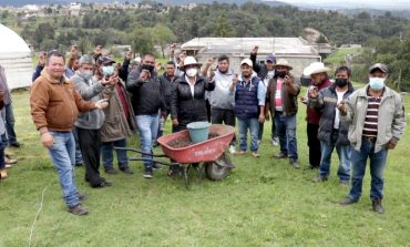Otzolotepec pionero en reforestación con técnica japonesa