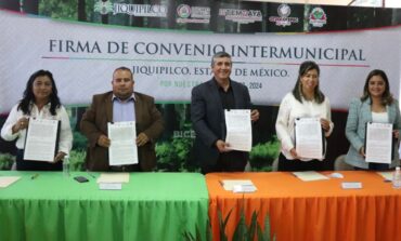 Jiquipilco, Isidro Fabela, Temoaya, Otzolotepec y Jilotzingo, se unen contra la tala clandestina