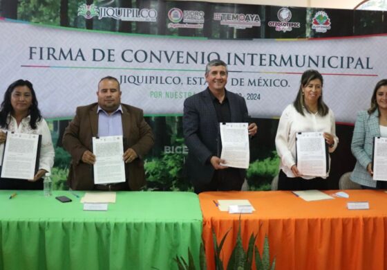 Jiquipilco, Isidro Fabela, Temoaya, Otzolotepec y Jilotzingo, se unen contra la tala clandestina
