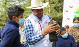 Propone Abuzeid Lozano un árbol por alumno de educación básica para fortalecer censo forestal estatal