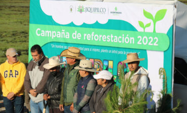 La meta: 100 mil árboles plantados en Jiquipilco