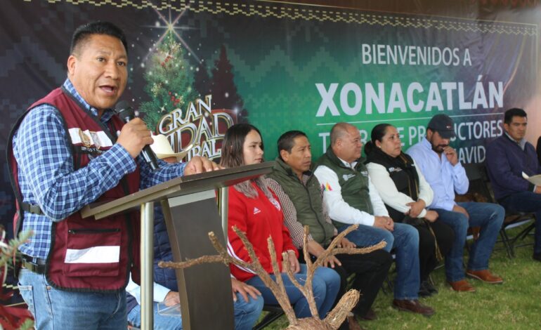 En Xonacatlán inició el corte y venta de árboles de navidad