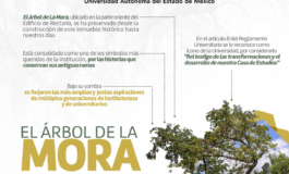 A 195 años del Instituto Literario: Árbol de la mora, testigo de la construcción del Instituto Literario y la UAEMéx