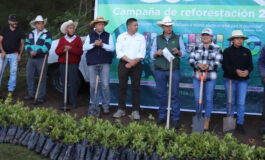 Con la meta de plantar 100 mil árboles, inició en Jiquipilco la Campaña de Reforestación 2023