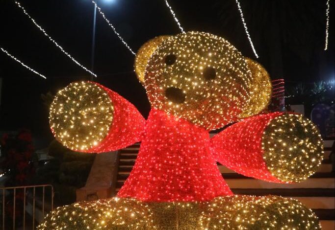 Nelly Rivera encabeza el encendido del árbol navideño en la Plaza Miguel Hidalgo 