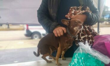 Realiza gobierno de Ixtlahuaca jornada de vacunación antirrábica canina y felina