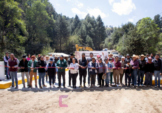 ¡Vamos por más!, por el bienestar de Tenango del Valle: Roberto Bautista