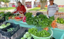 Zinacantepec fortalece la economía local con la “Segunda Expo Venta Agropecuaria y Artesanal”