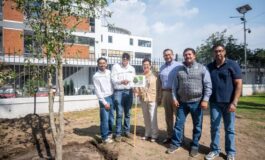 Arranca sustitución del arbolado en Paseo Colón