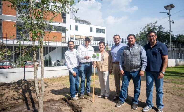 Arranca sustitución del arbolado en Paseo Colón